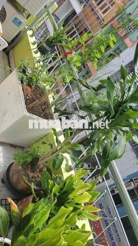 Văn phòng làm việc đẹp, trung tâm, giá 8tr
