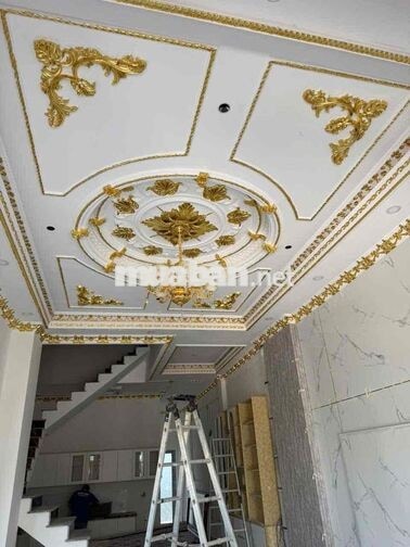Cho Thuê Nhà 4Phòng Ngủ Mới 100% Gần TP Mới Bình Dương Ở & Mở VP