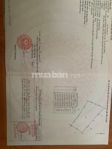 Bán lô đất trồng cây lâu năm giáp khu dân cư làm nhà vườn trồng cây nu