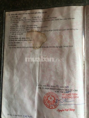 Bán lô đất trồng cây lâu năm giáp khu dân cư làm nhà vườn trồng cây nu