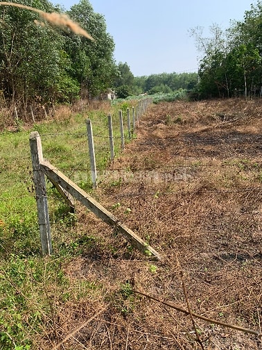 Bán lô đất trồng cây lâu năm giáp khu dân cư làm nhà vườn trồng cây nu