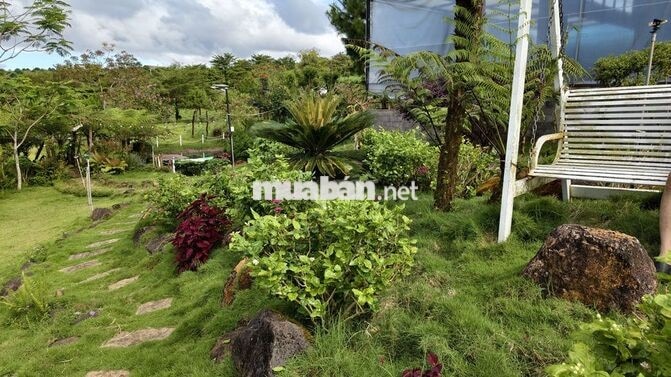 Cần bán 2 lô liền kề 200m2/ lô Giá chỉ 990tr