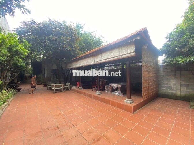 Cho thuê nhà Vườn P Phú Mỹ - Thủ Dầu  - Bình Dương