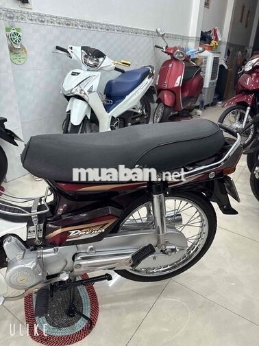 CITI PHUỘT ( ÚP Super dream ) BS: 84 Trà Vinh