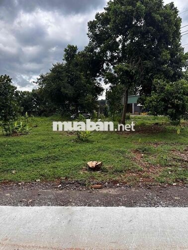 500m2 KẾ BÊN KCN LONG KHÁNH TP ĐỒNG NAI