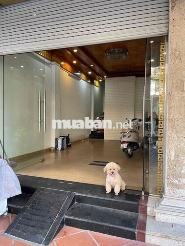 CHÍNH CHỦ CHO THUÊ TẦNG 1 NHÀ MẶT PHỐ LAM SƠN HẢI PHÒNG