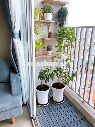 Cho thuê căn hộ Harmona, 50m2, 1PN, 11tr