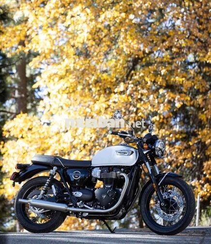 Triumph Bonneville T100 2027 900cc Đỏ đen