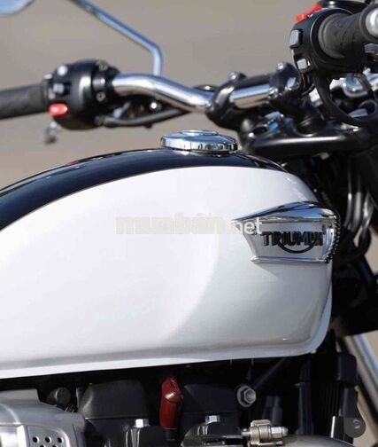Triumph Bonneville T100 2027 900cc Đỏ đen
