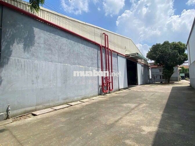 Xưởng Thuận An 3000m² PCCC Tự động đường cont giấy tờ đầy đủ