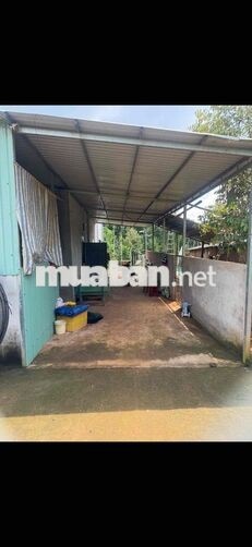 Bán nhà giá rẻ Bàu Chinh Châu Đức 20x50