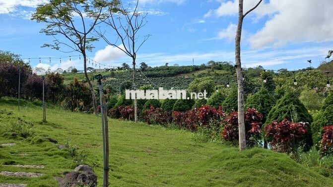 Đất nền 200m2 Tại Phường 2 Bảo Lộc