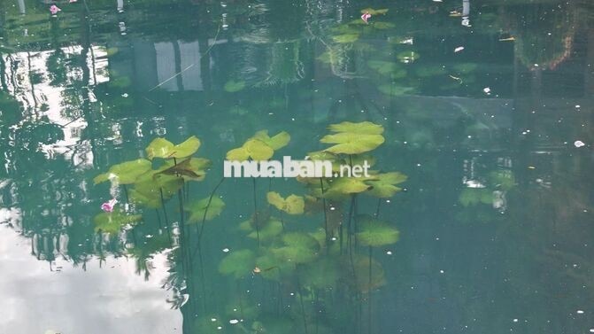Đất nền 200m2 Tại Phường 2 Bảo Lộc