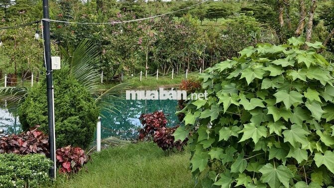 Đất nền 200m2 Tại Phường 2 Bảo Lộc
