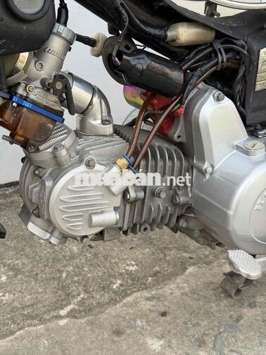 Honda Super Dream màu Nho