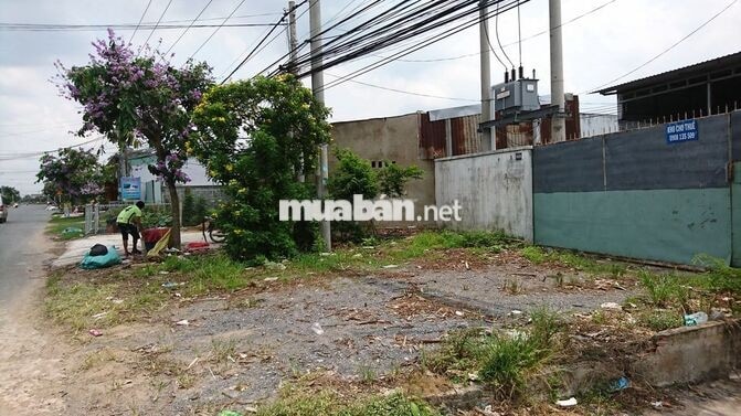 CHO THUÊ NHÀ KHO 400 M2, MẶT TIỀN ĐƯỜNG TĨNH 835A