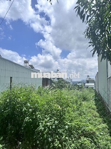 CHÍNH CHỦ BÁN ĐẤT MẶT TIỀN NGUYỄN THÁI BÌNH, PLEIKU, GIA LAI