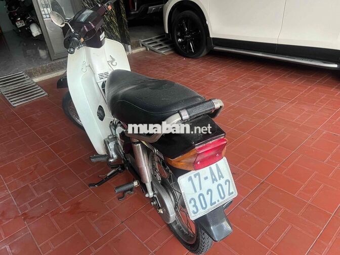 HONDA SUPER DREAM 50CC MÀU TÍM