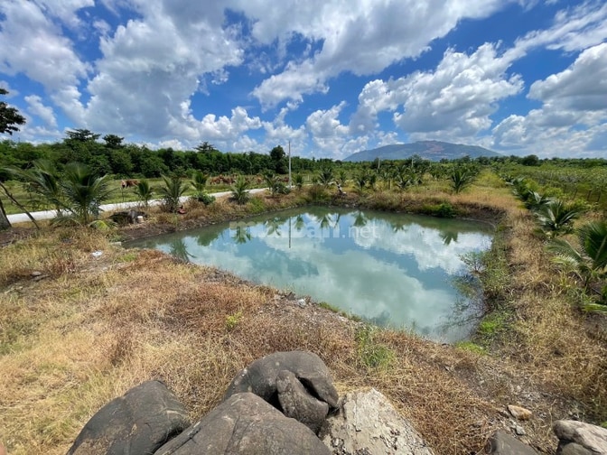 Hơn 1.000m2 đất, 200m2 thổ cư P. Xuân Lộc, TP. Đồng Nai