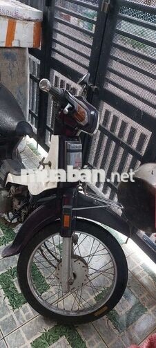 Honda Dream Thái màu Tím