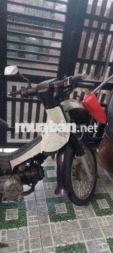 Honda Dream Thái màu Tím