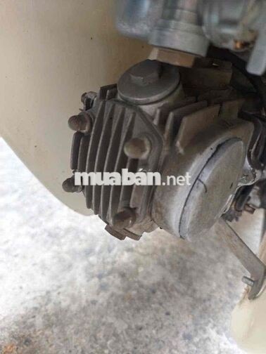 Xe máy Motor Thái Cup 50cc 2022 Xám trắng