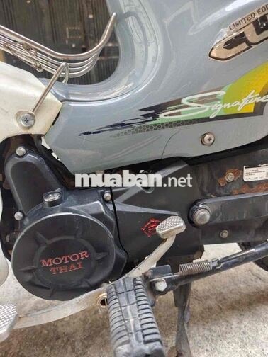 Xe máy Motor Thái Cup 50cc 2022 Xám trắng