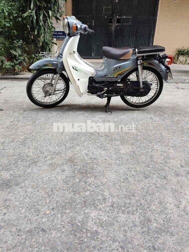 Xe máy Motor Thái Cup 50cc 2022 Xám trắng