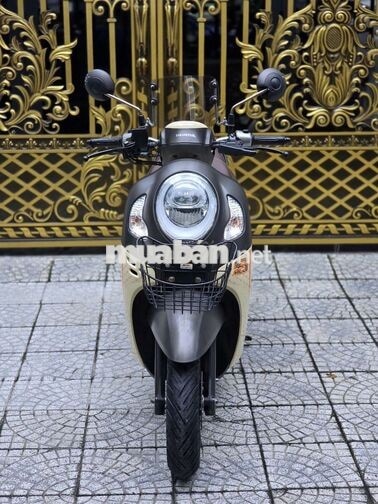 Honda Scoopy 2024 màu xám