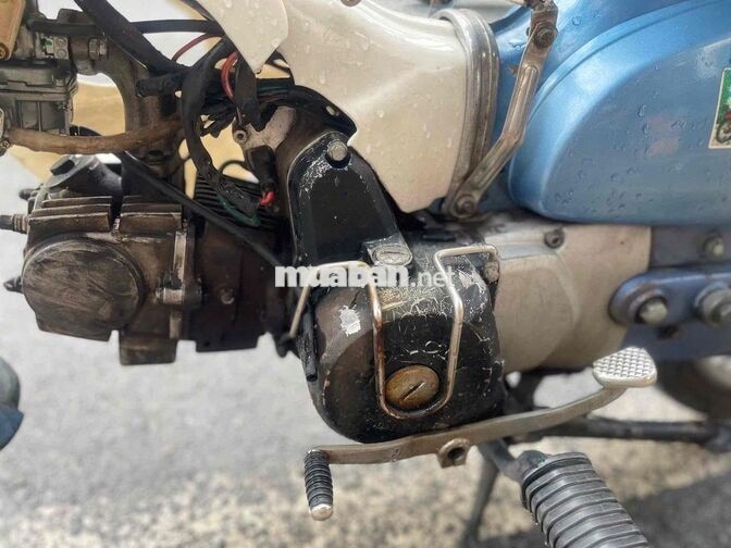 Honda Super Cub màu Xanh . giay to đay đu