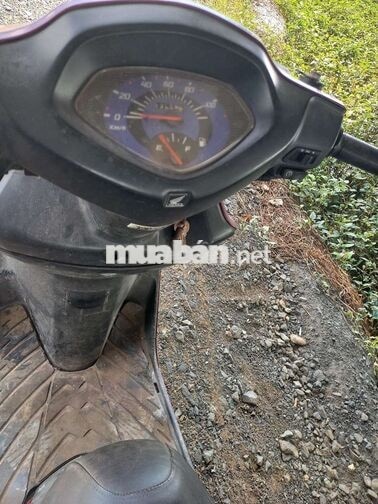 Spacy 110cc màu trắng