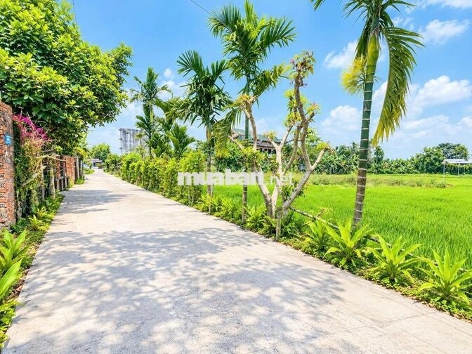 ĐẤT NỀN ĐIỆN BÀN TÂY SÁT ĐƯỜNG DT609 - GIÁ CHỈ 590TR 