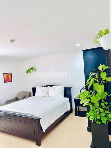 biệt thự ,gần biển, 300m2 sàn, 3 tầng 1 hầm, full nội thất pccc