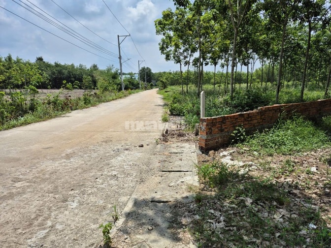 Công ty đấu giá hợp danh Sao Việt 
