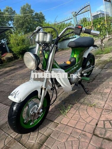 Honda Chaly 49cc màu Xanh