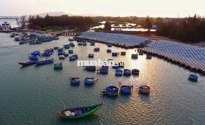 Chính chủ gửi bán độc quyền một cặp nền cực đẹp, đất full thổ cư
