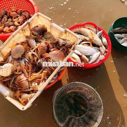 Chính chủ gửi bán độc quyền một cặp nền cực đẹp, đất full thổ cư