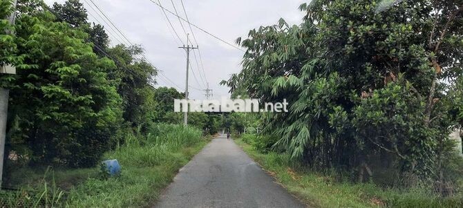 Mảnh vườn trong mơ 2 mặt tiền giáp suối Hố Bò, xã Phú Mỹ Hưng