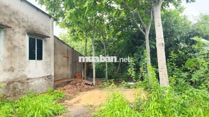 Mảnh vườn trong mơ 2 mặt tiền giáp suối Hố Bò, xã Phú Mỹ Hưng