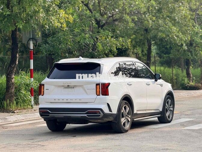 Kia Sorento 2.2 máy dầu Signature 2025