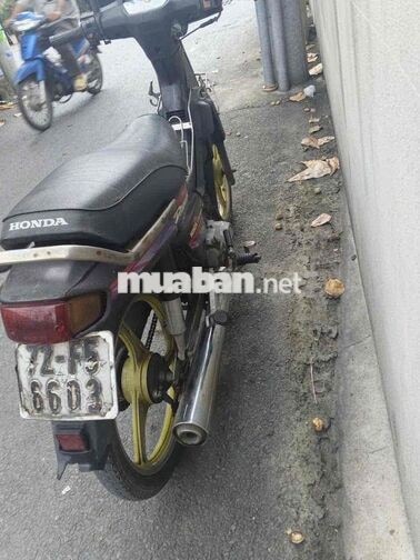 honda dream lùn