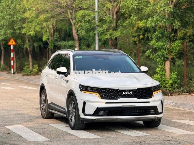 Kia Sorento 2.2 máy dầu Signature 2025