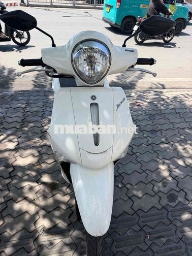 Yamaha Janus 2018 Bs Bình Định
