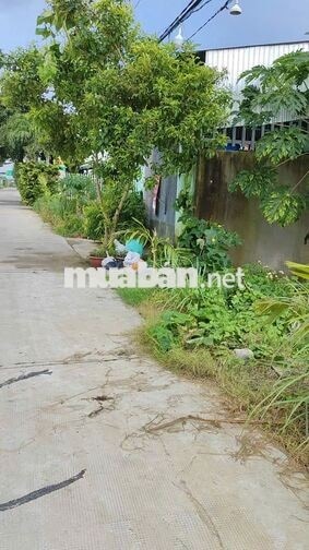 Ngộp! Cần bán nhanh lô đất 182m2 thổ cư. Giá 750Tr. Ấp 7 xã Mỹ Yên