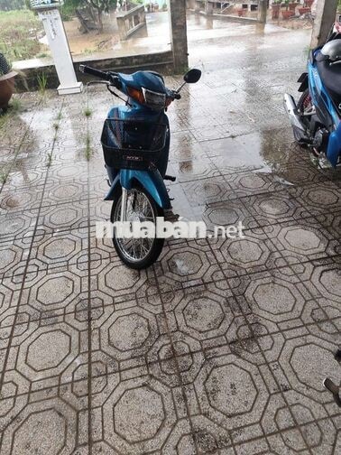 HONDA WAVE ALPHA MÀU XANH