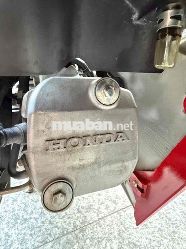 Honda Wave Alpha 2020 màu Đỏ