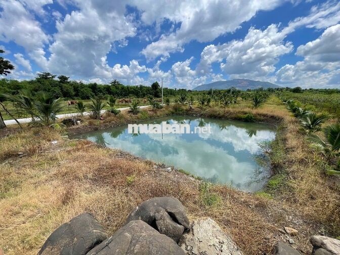 Hơn 1.000m² đất – 200m² thổ cư P. Xuân Lộc, TP. Đồng Nai
