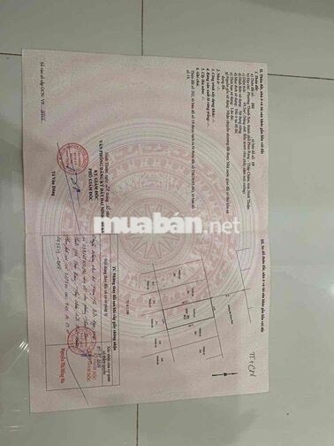 chính chủ cần bán căn homtay đang kinh doanh