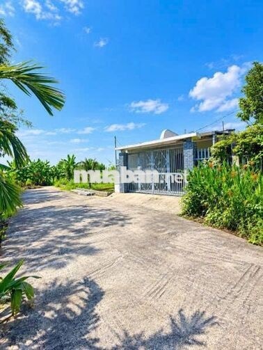 🌞BÁN GẤP--Lô Diện Tích Lớn Khu CHỢ ĐẦU MỐI HÒA XUÂN🌞