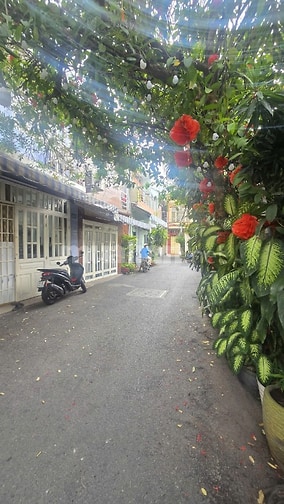 Nhà đẹp vào ở ngay - HXH 24 Bà Ký, ngay vòng xoay Cây Gõ